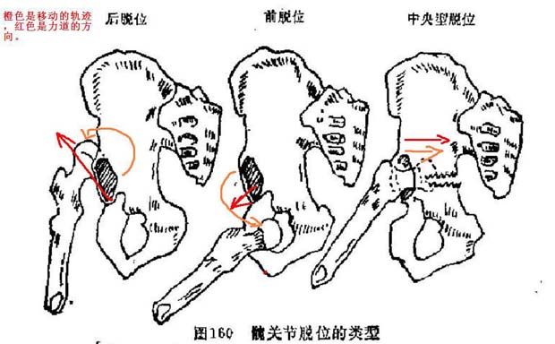 同等学力申硕西医综合内科学常考点（2）